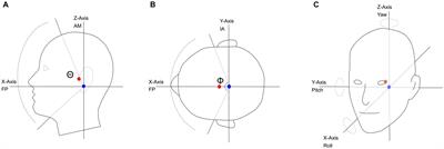 Head movement and its relation to hearing